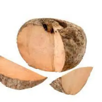 Common Elephant Yam