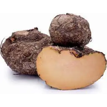 Natural Elephant Yam