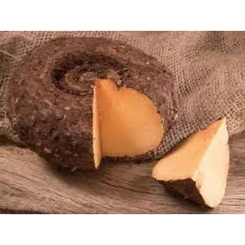 Natural Elephant Yam