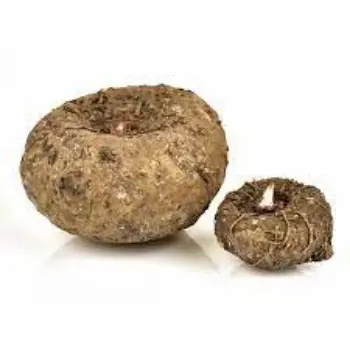 Common Elephant Yam