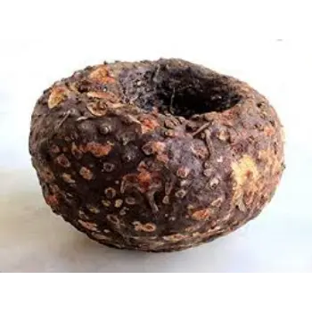 Organic Elephant Yam