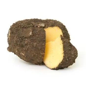 Organic Elephant Yam