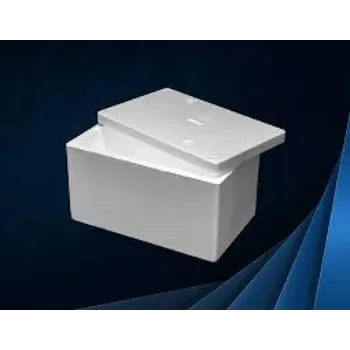Fine finish EPS Thermocol Box