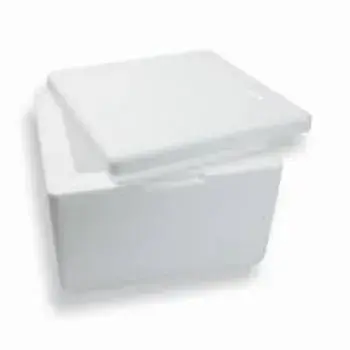  Good Quality EPS Thermocol Box