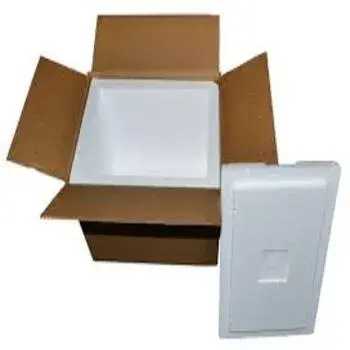 Plain EPS Thermocol Box