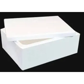 EPS Thermocol Box For Packing Product