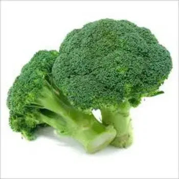 Top Frozen Broccoli Manufacturers Near Me