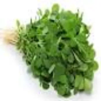 Organic Dried Fenugreek leaves
