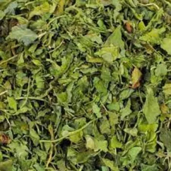 Natural Fenugreek Leaves