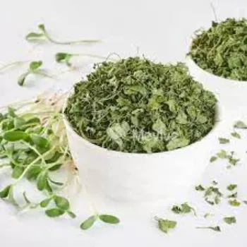 Natural Dry Fenugreek Leaves
