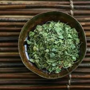 Common Fenugreek Leaves