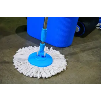 Antique Fiber Broom