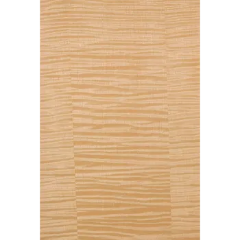 Modern Film Faced Plywood