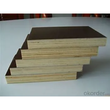 Modern Film Faced Plywood