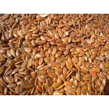 Organic Flax Seed