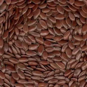 Natural Flax Seed