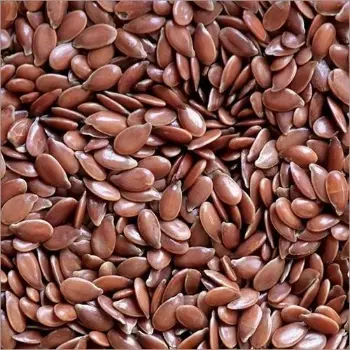 Flax Seed
