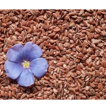 Fresh Flax Seed