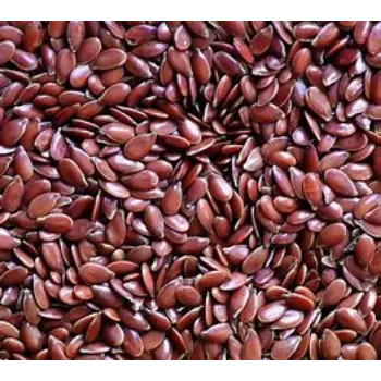 Flax Seed