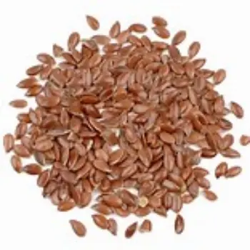 Fresh Flax Seed