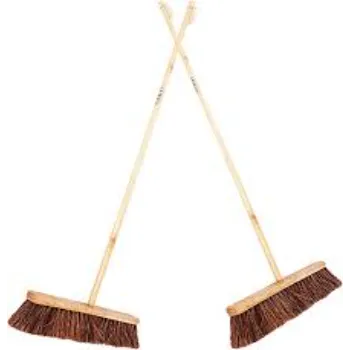 Common Floor Broom