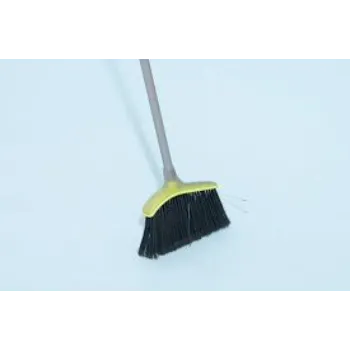 Shri Durga Floor Broom