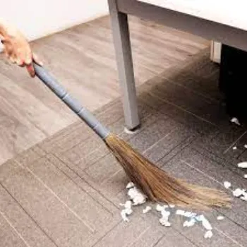 Floor Broom