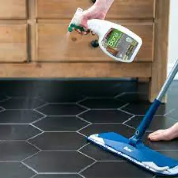 Sant Floor Cleaner