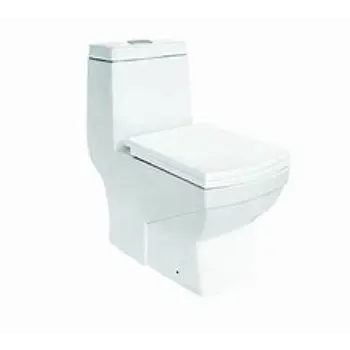 Durable Floor Mounted Toilets