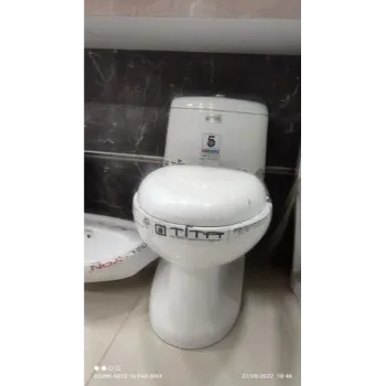 Coated Floor Mounted Toilets