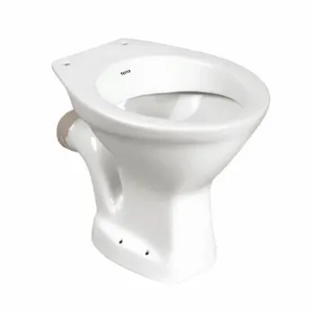 Polished Floor Mounted Toilets