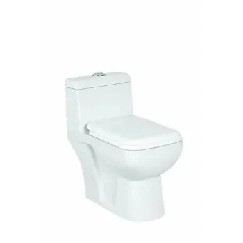 Solid Floor Mounted Toilets