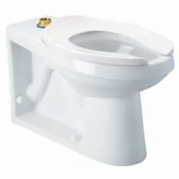 Polished Floor Mounted Toilets