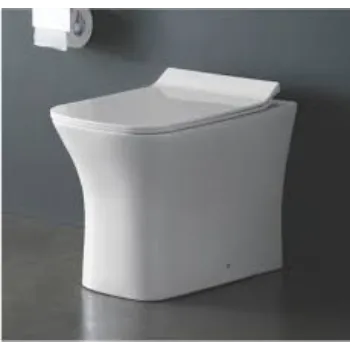 Coated Floor Mounted Toilets