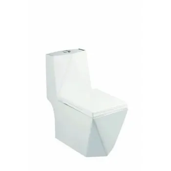 Polished Floor Mounted Toilets