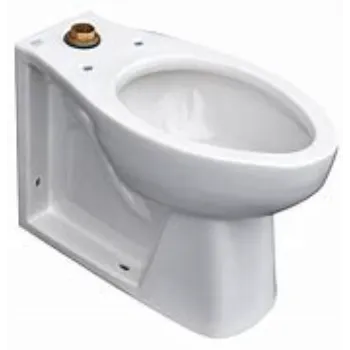 Plain Floor Mounted Toilets