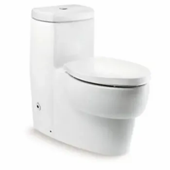 Polished Floor Mounted Toilets