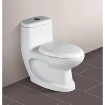Coated Floor Mounted Toilets