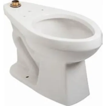Durable Floor Mounted Toilets