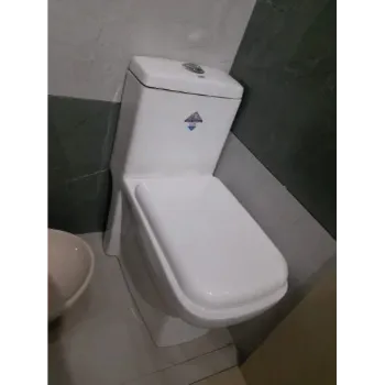 Polished Floor Mounted Toilets