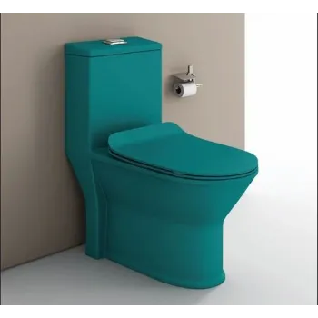 Solid Floor Mounted Toilets