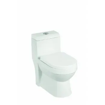 Solid Floor Mounted Toilets