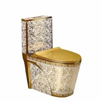Polished Floor Mounted Toilets