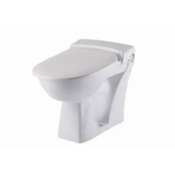 Polished Floor Mounted Toilets