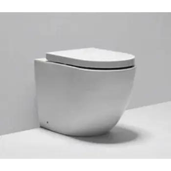 Polished Floor Mounted Toilets