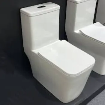 Solid Floor Mounted Toilets