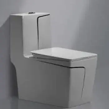 Floor Mounted Toilets