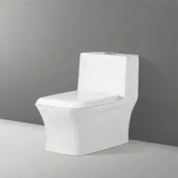 Modern Floor Mounted Toilets