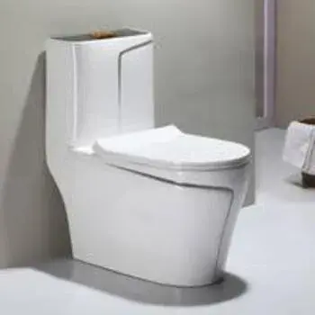 White Floor Mounted Toilets