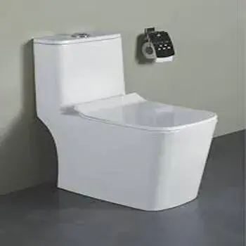 Floor Mounted Toilets